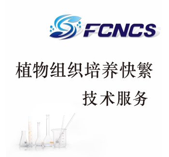 植物组织培养快繁