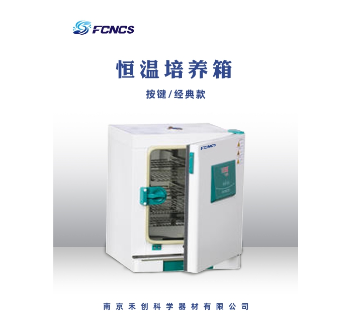 电热恒温培养箱（按键款）